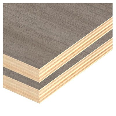 Full Eucalyptus Full{0}}core vaneri