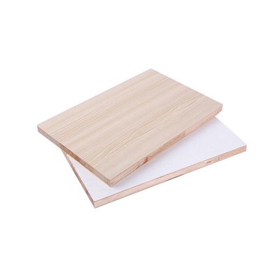 Malacca Eco{0}}-ystävällinen hallitus